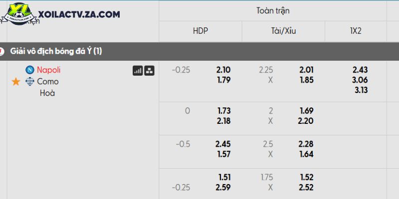 Viktor Gyokeres: Từ Coventry City đến cỗ máy ghi bàn đáng sợ nhất châu Âu